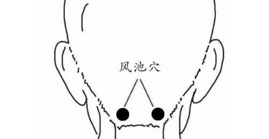 小叶苦丁|一旦查出血压高,少碰二白,改掉三习,做好四事,稳定血压少生病