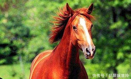 偃月|关羽身跨赤兔马,手提八十二斤青龙偃月刀?别再被骗了,都是假的