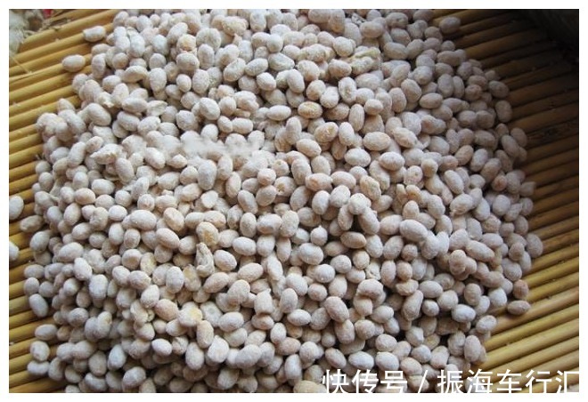 纱布|酱油不用买了,2分钟教你在家做,零添加零失败,酱香浓郁又健康