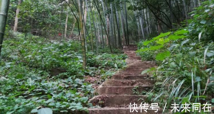 大脚丫|北京还藏了座超有趣的山，“碧霞元君祠”就在这里，亮点竟是山名