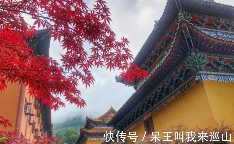 真可@他是一代高僧,修炼出逍遥境界,为啥却有那么多人还不了解他?