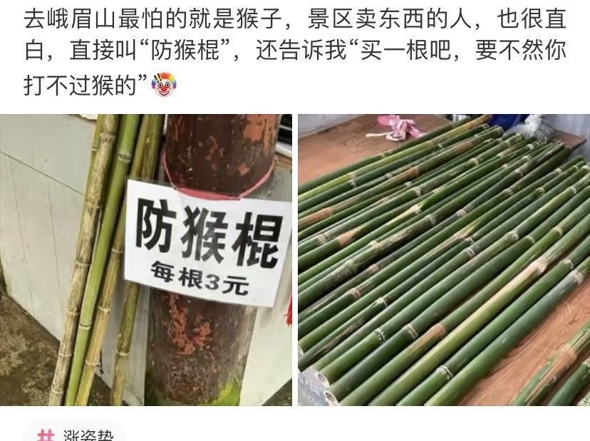 |搞笑段子:和家里介绍的妹子吃完饭了,接下来我该怎么办啊?