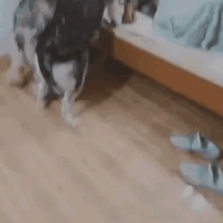 |搞笑GIF:这套动作真危险 到底是男的累还是女的累