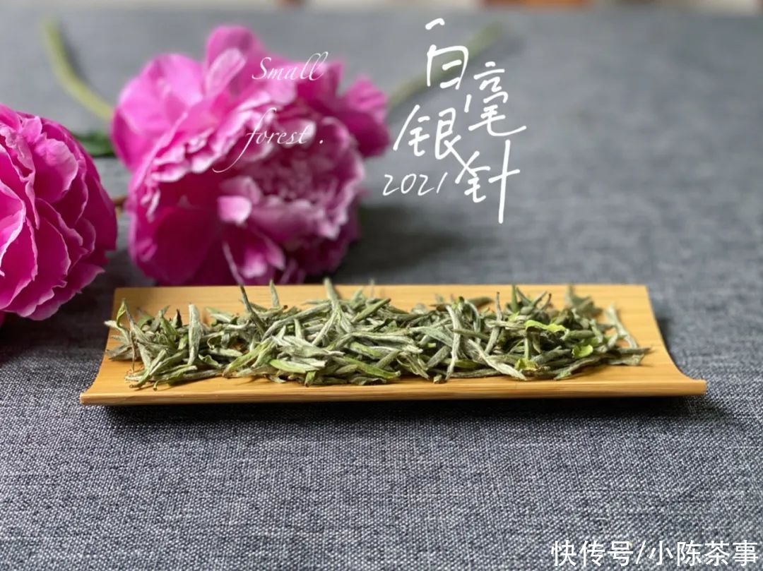 新茶|新白毫银针VS老白毫银针，是不是新茶的毫香味，喝起来更浓一点？