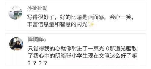 刘欣慈&“她就是我的光!”小学生作文“暗恋”走红,网友:鲁迅的风格