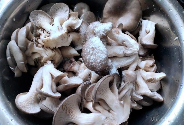 抓紧|你还在用蘑菇包饺子吗?我也是刚刚知道,抓紧告诉家里人