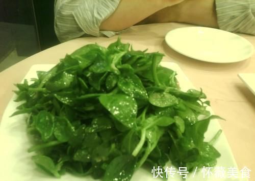 救心菜|这种野菜被人们当作杂草直接忽视了，其实它风味独特，百吃不厌