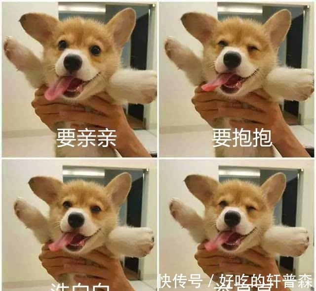 草民|我一介草民，为什么突然被百度“公关”了
