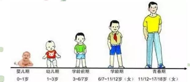 生长发育|11岁女孩吃了4000多的增高药后停止发育,医生:孩子长个已无望