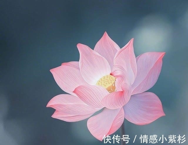 好的孤独!看到内心都发颤的话,句句精品,道尽人生百态!