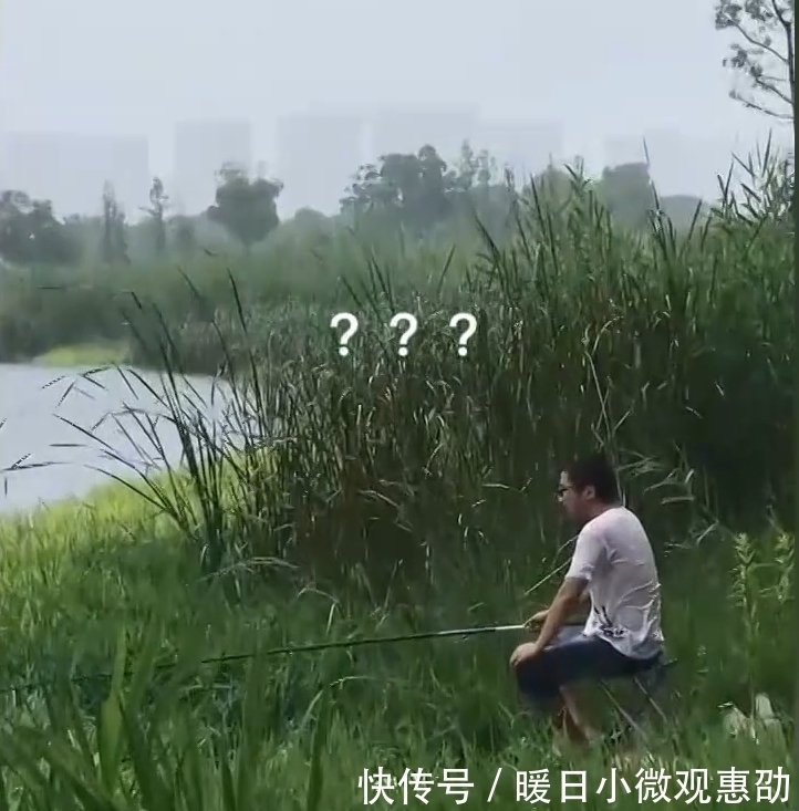 倾盆大雨|江苏一男子冒倾盆大雨钓鱼,纹丝不动,妻子:钓上来还放回去