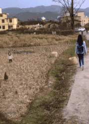 |搞笑GIF: 现在做生意太难了 今天有位客人要吃毛衣