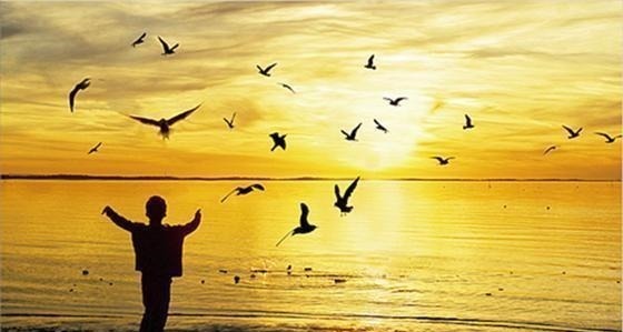 东坡诗|千古绝对上联“漏网之鱼,世间时有”下联成为绝唱!