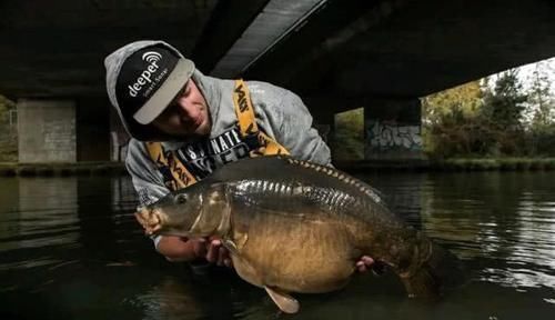 在欧洲钓鲤鱼是一项非常高大上的运动,一套装备要几干欧