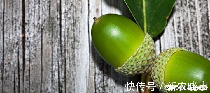 坚果|农村有一种野果像陀螺,被誉为坚果之王,如今稀罕要20元一斤