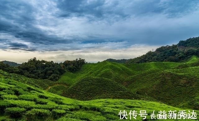 天蝎座|三个定力强大的星座，活得通透，面对诱惑依旧清醒，实力出类拔萃