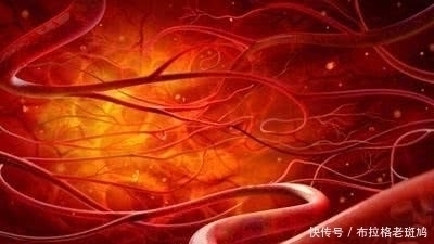 食物|血管堵塞不用慌,多吃几种“换血”食物,血管通畅更有弹性