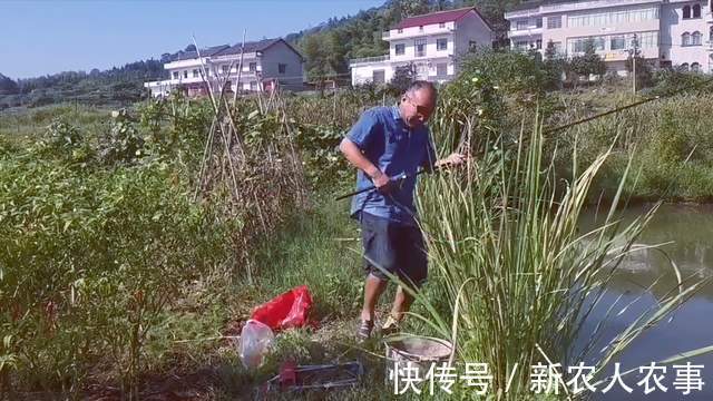 疯狂!男子钓鱼遇“空军”,直接扔掉鱼竿放大招,网友:长见识了