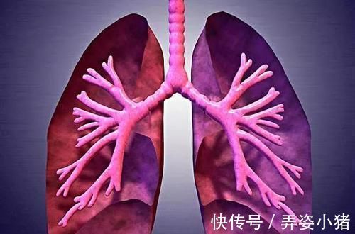 痊愈|5大穴位扶阳正气，再顽固的鼻炎，这样简单调理也很快痊愈了！