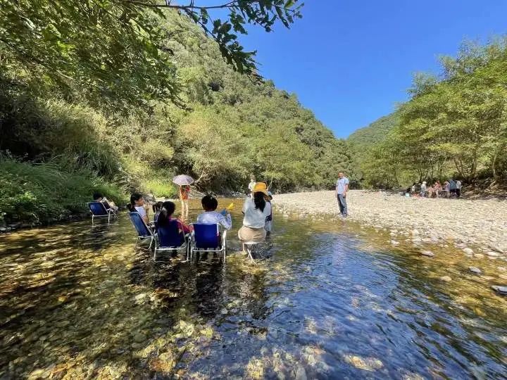 罗妈妈|这事“藏”不住了！杭州三娃父亲发声：你们让我有了第二次生命