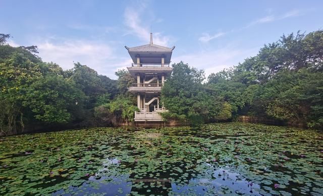 中央电视台|中山城，跟着中国民主革命的伟大先驱的足迹，畅游世界