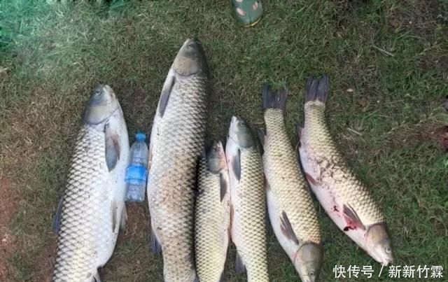 双铅钓为啥比跑铅钓更灵敏双铅钓该怎样调漂建议新手收藏