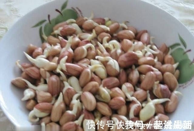 发芽|这4种常见食物发芽后也能放心吃,不仅没毒,营养价值还更高