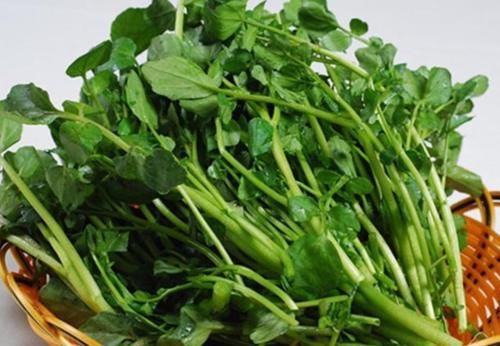 秋老虎|会吃的人更健康，秋季孩子3种食物换着吃，美容养颜，好吃又健康