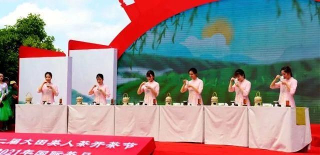 大田 开茶喽!三明大田“美人”娇艳绽放