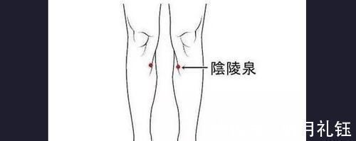 阴陵泉穴|穴位妙用,常按5个穴位,解决高血脂,远离心脑血管疾病