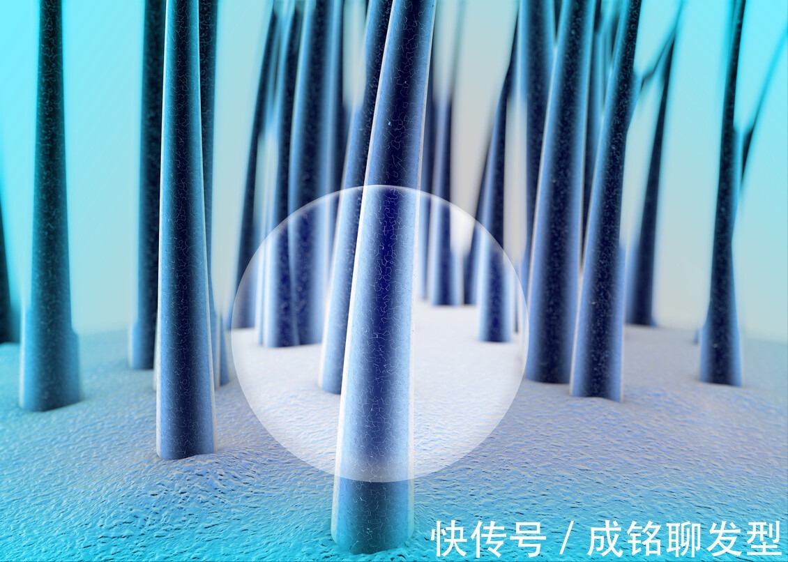 光泽度|头发干燥用“发膜”还是“护发素”?两种都可以,但千万别用错了