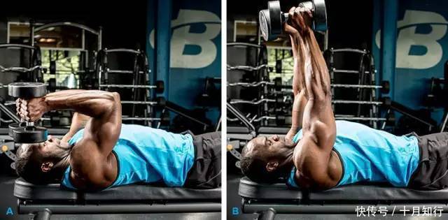 躯干|仰卧臂屈伸动作解析,帮你了解动作正确完成,发挥动作优势练三头