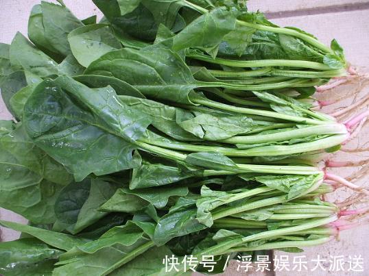 维生素e|常吃菠菜的人,身体不会差,但切忌与一物同食,却很多人不清楚