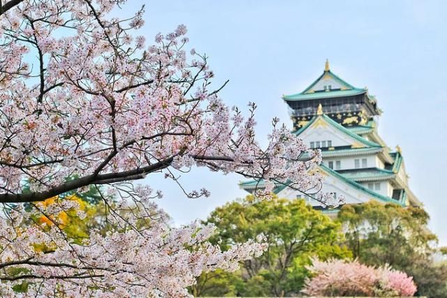 学校|没听说过就对了！这些大阪的日本语言学校堪称沧海遗珠