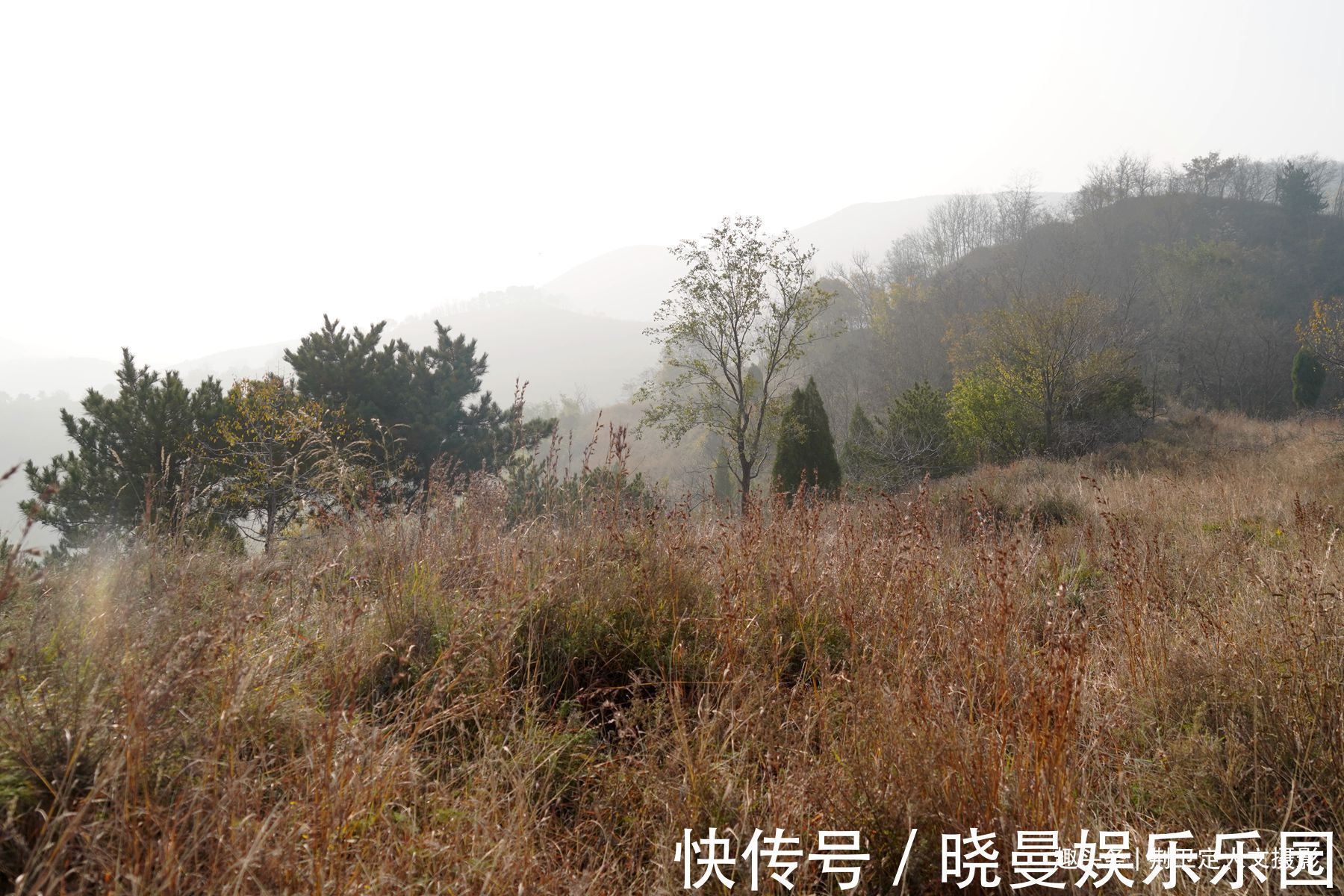 山洞!6旬农民痴迷周易八卦,独居山洞修炼养生30多年,看活成啥样