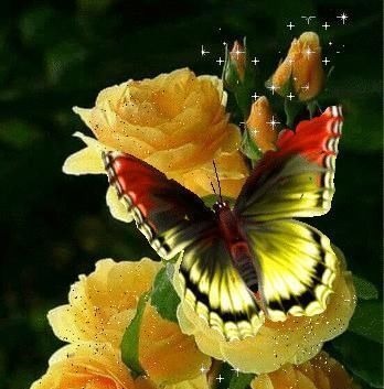 人心$良言20句,见证人心,看透人性看一次胜读十年书