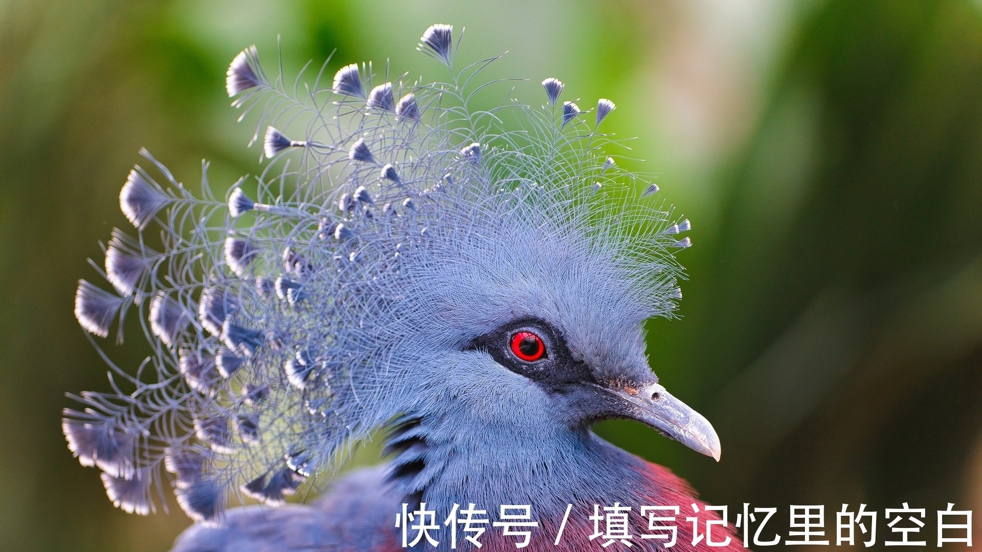 b盘点8条超级有趣的冷知识,你知道多少呢?