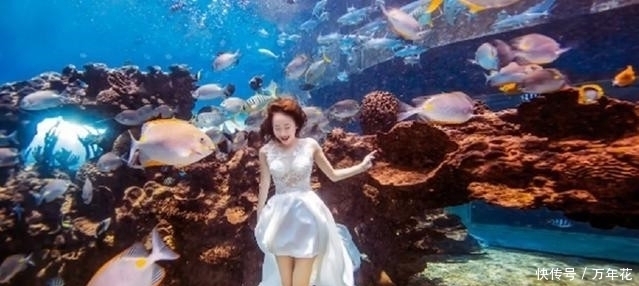 情侣海底拍婚纱照，新娘水里泡了4个小时，成片却极其梦幻