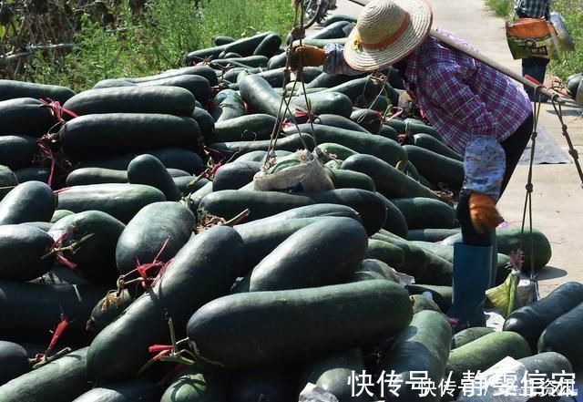 黄瓜|减肉最狠的不是黄瓜,而是它1周吃几次,大肚腩不见腰更细了