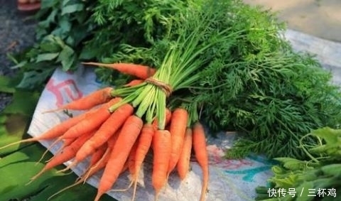 补钙|补钙的不只有牛奶，这些蔬菜的含钙量一样很高