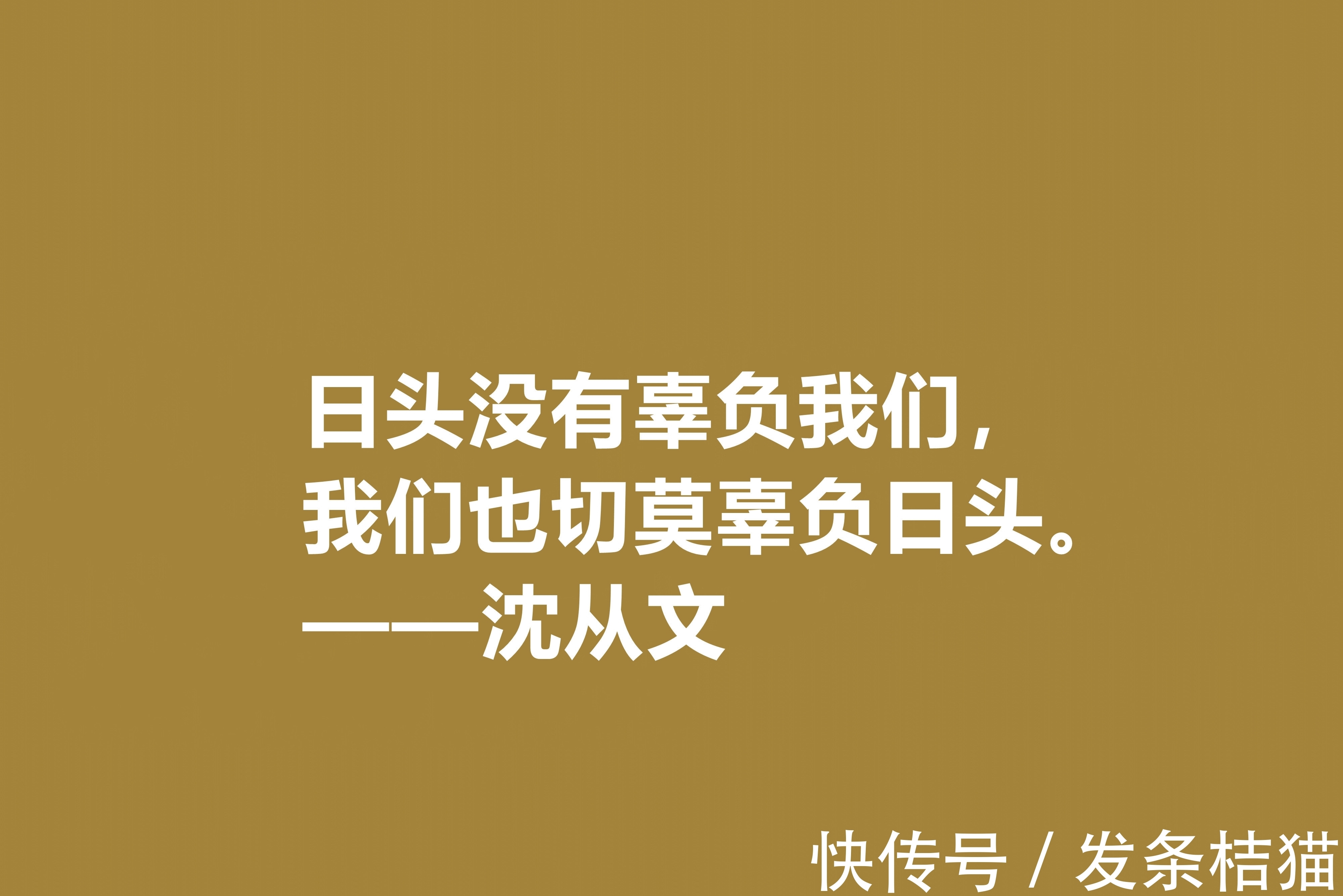 小说$深爱沈从文的小说，细品他十句格言，文化底蕴深厚，凸显其人生观