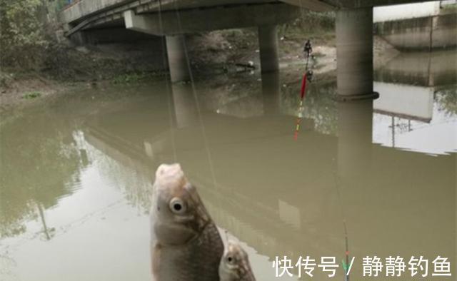 秋季钓鱼,钓位选择的变化很大,这几点莫忽视