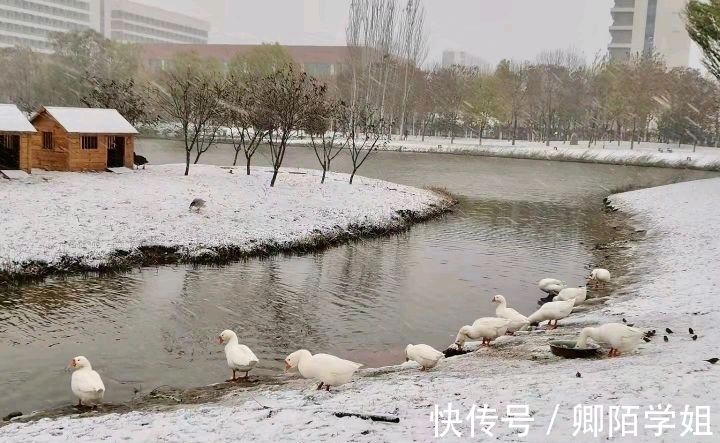 咏雪@「七言绝句●咏雪」卷地铺云细漫沙