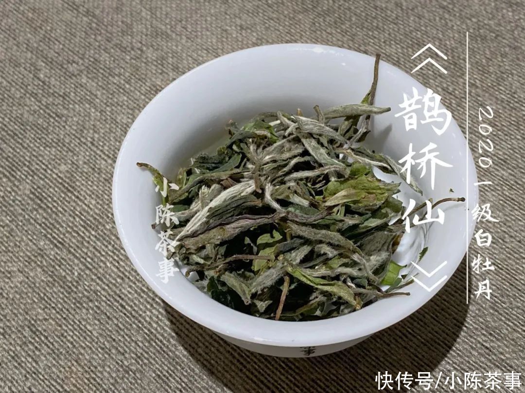  白牡丹|花香满颊，汤水劲滑，时隔7个月，2020白牡丹有了哪些变化？