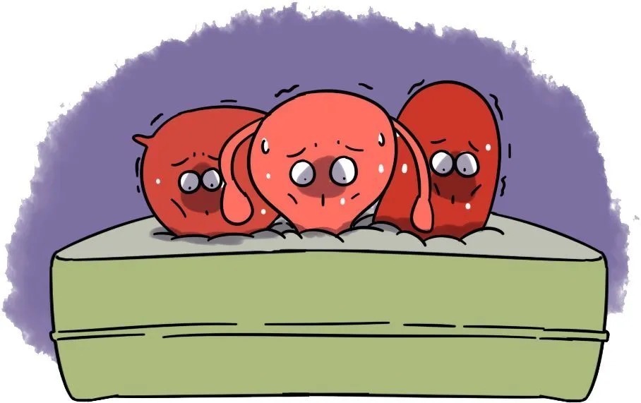 恢复指南|产后身体发生了哪些变化?这些恢复小技巧你必须知道!