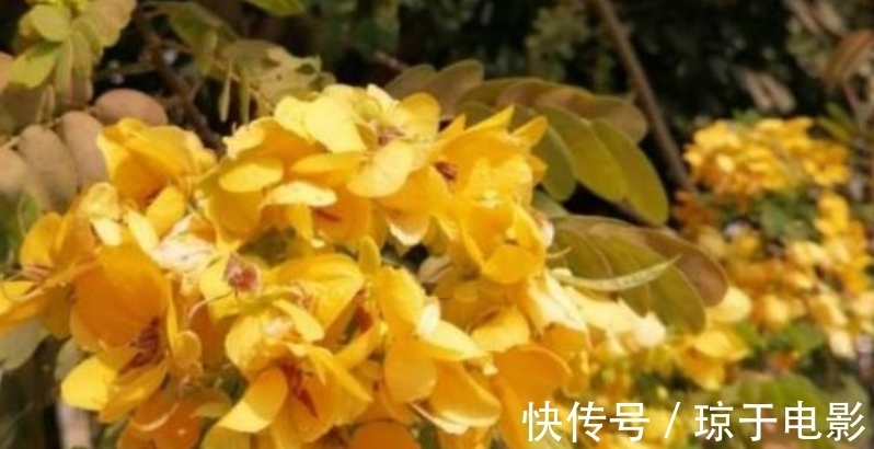 山河|2周后，青丝白发，心乱如麻，跨越山河，只为你相遇