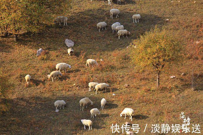 承德|承德这一条天路美如童话，距离北京3h，这才是秋季该有的样子