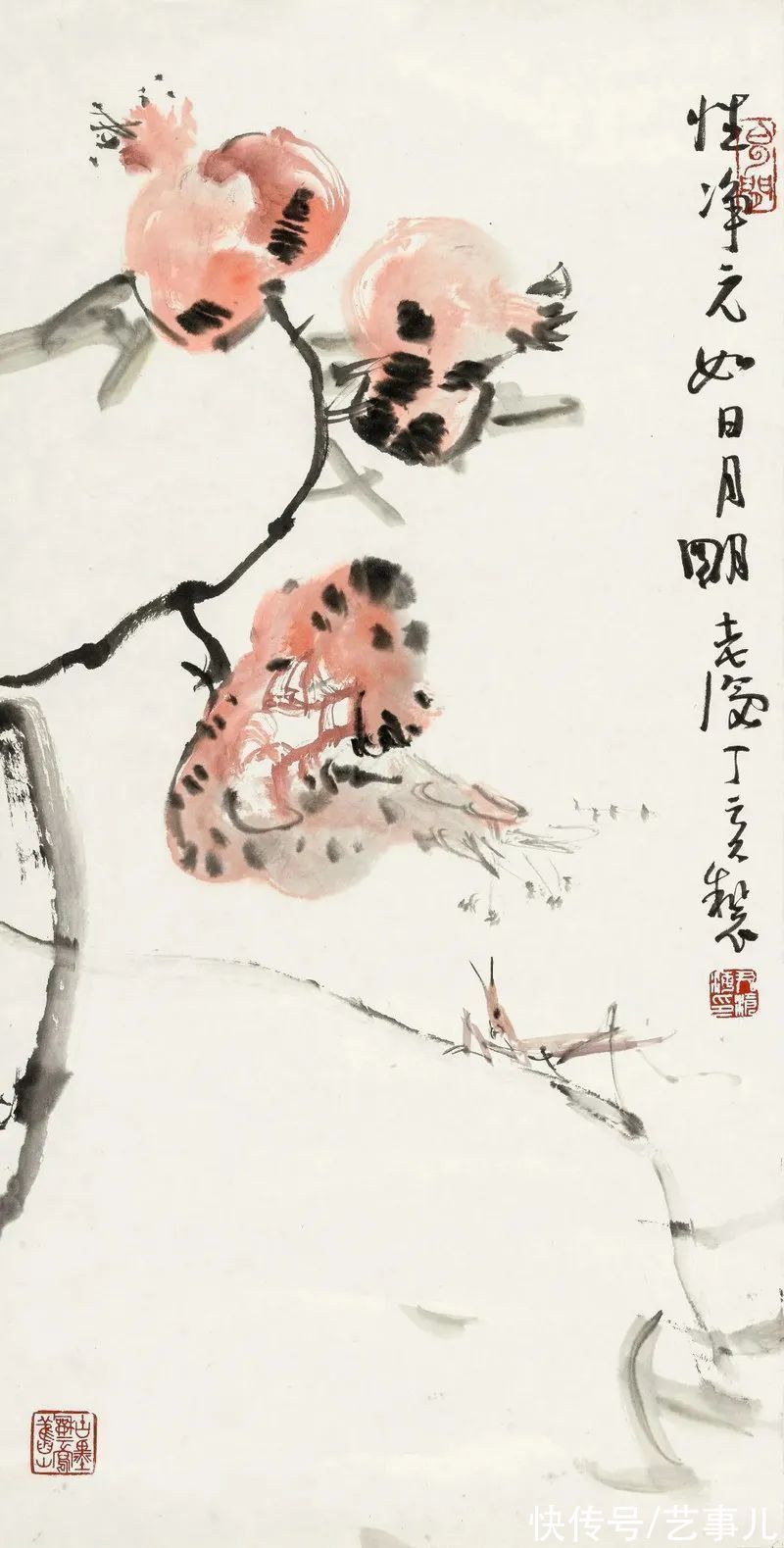 教授!尹沧海教授石榴作品欣赏:清简空灵 独出机杼