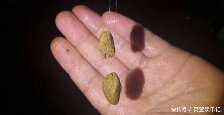 九一八|九一八必须搭配蓝鲫才好用?高手早就撇开蓝鲫了,这样搭配才厉害