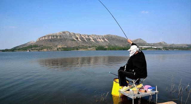 光合作用|真的是早上鱼口最好吗?其实鱼的开口时间与水质关系很大